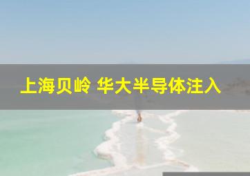 上海贝岭 华大半导体注入